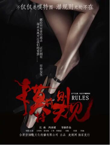 模特前规则 (2017) 海报