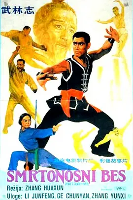 武林志[电影解说] (1984) 海报