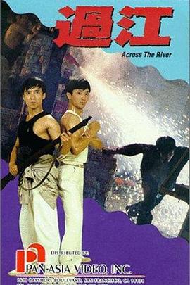 武生决 (1988) 海报