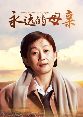 永远的母亲 (2010) 海报