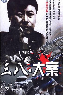 沈阳三八大案侦破纪实 (2009) 海报