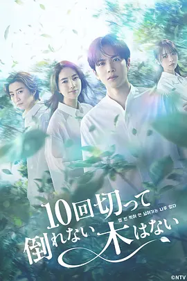 没有砍十次还不倒的树 (2026) 海报