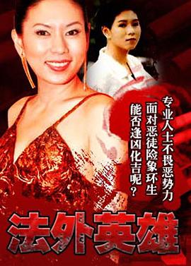 法外英雄国语 (1995) 海报