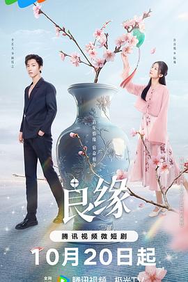流光鉴良缘 (2025) 海报