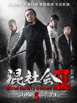 浴火重生2016 (2016) 海报