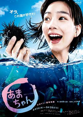 海女 (2013) 海报