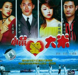 海水正蓝 双面情人 (2002) 海报
