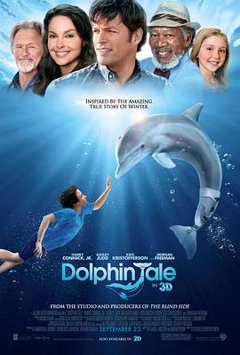海豚的故事2011 (2011) 海报