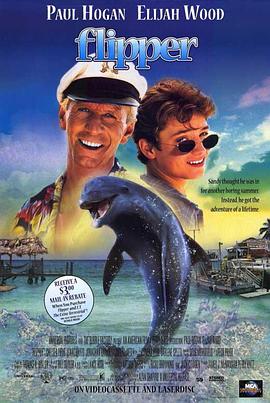 海豚的故事 (1996) 海报