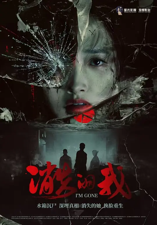 消失的我 (2025) 海报