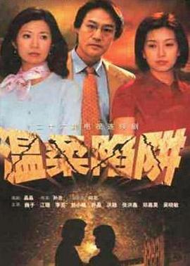 温柔陷阱2001 (2001) 海报