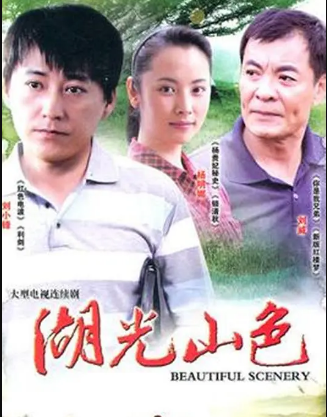 湖光山色 (2011) 海报