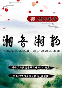 湘音湘韵2018 (2018) 海报
