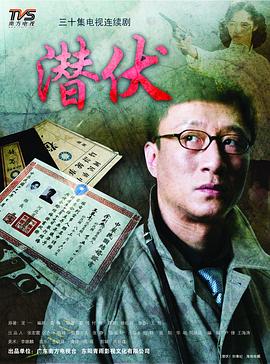 潜伏2008 (2008) 海报