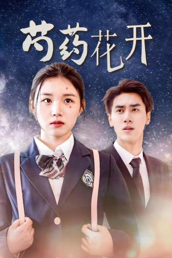 火光中的芍药花 (2024) 海报