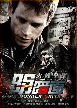 火线干探之阴暗面 (2014) 海报