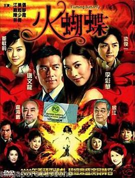 火蝴蝶粤语 (2008) 海报