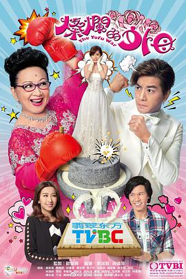 灿烂的外母国语 (2017) 海报