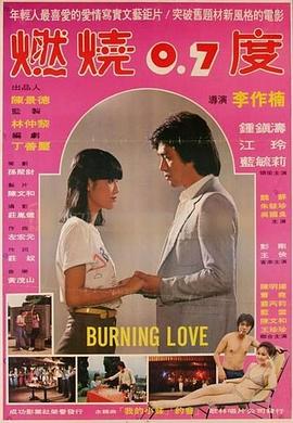 燃烧0.7度 (1980) 海报