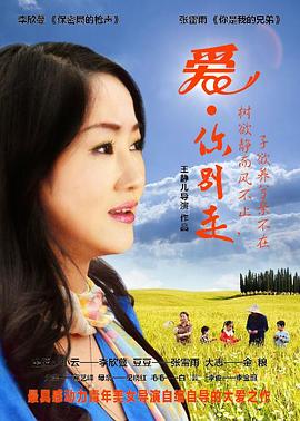 爱·你别走 (2013) 海报
