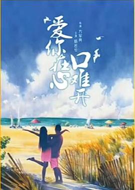 爱你在心口难开 (2001) 海报