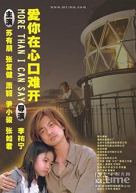 爱你在心口难开 (2004) 海报