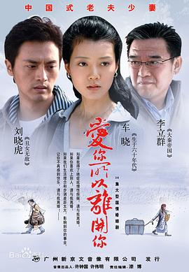 爱你所以离开你 (2008) 海报