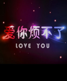 爱你烦不了 (2011) 海报