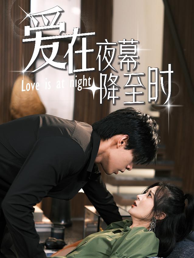 爱在夜幕降至时 (2024) 海报