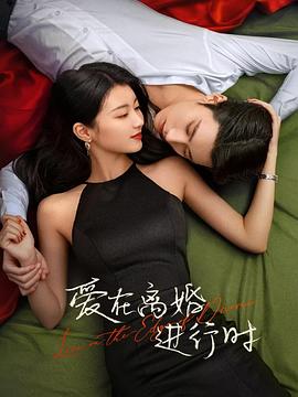 爱在离婚进行时2025 (2025) 海报