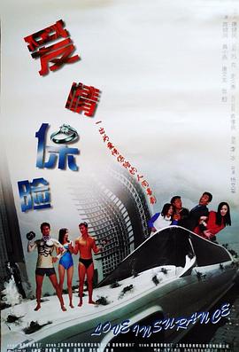 爱情保险 (2001) 海报
