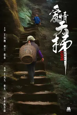 爱情天梯[电影解说] (2013) 海报