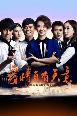 爱情自有天意2013 (2013) 海报