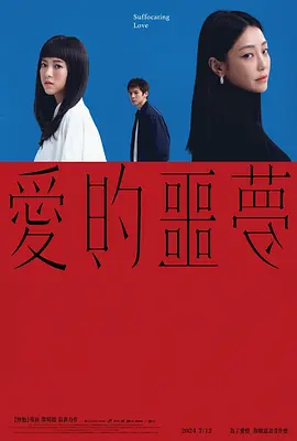 爱的噩梦[电影解说] (2024) 海报