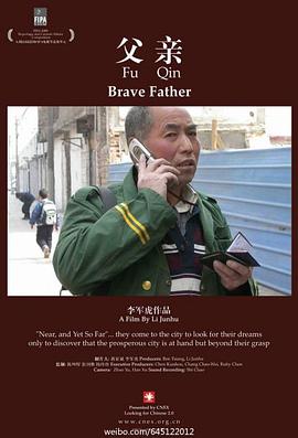 父亲2007 (2007) 海报