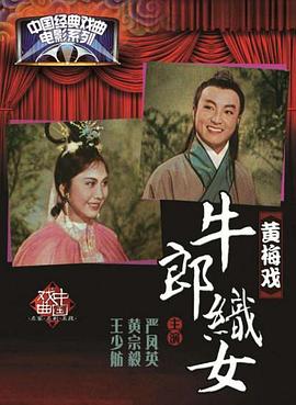 牛郎织女1963 (1963) 海报