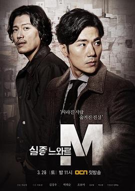 特殊失踪专案组：失踪的黑色M (2015) 海报