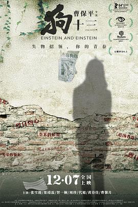 狗十三 (2013) 海报