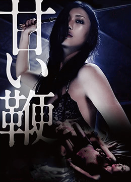 甜蜜皮鞭 (2013) 海报