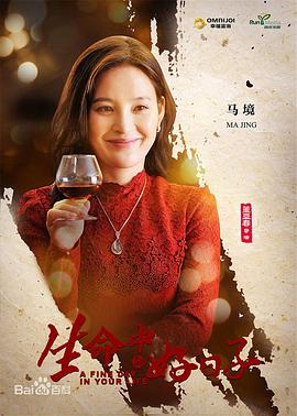 生命中的好日子 (2016) 海报