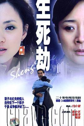 生死劫 (2006) 海报