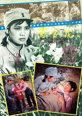 百合花 (1981) 海报