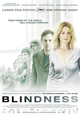 盲流感 (2008) 海报