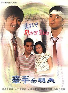 真情岁月 (2003) 海报