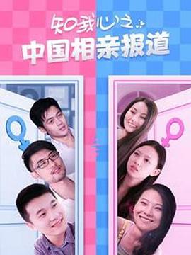 知我心之中国相亲报道 (2013) 海报