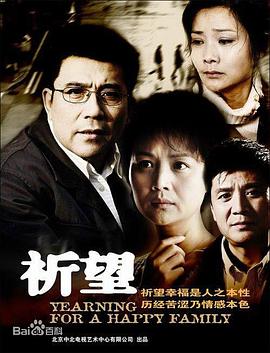 祈望 (2008) 海报