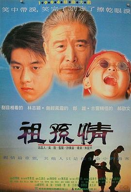 祖孙情 (1995) 海报