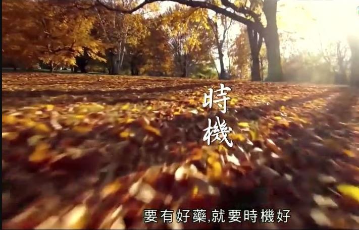 神奇百草游粤语 (2016) 海报
