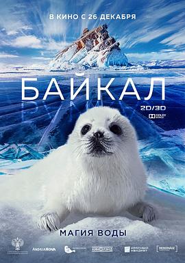 神奇的贝加尔湖 (2021) 海报