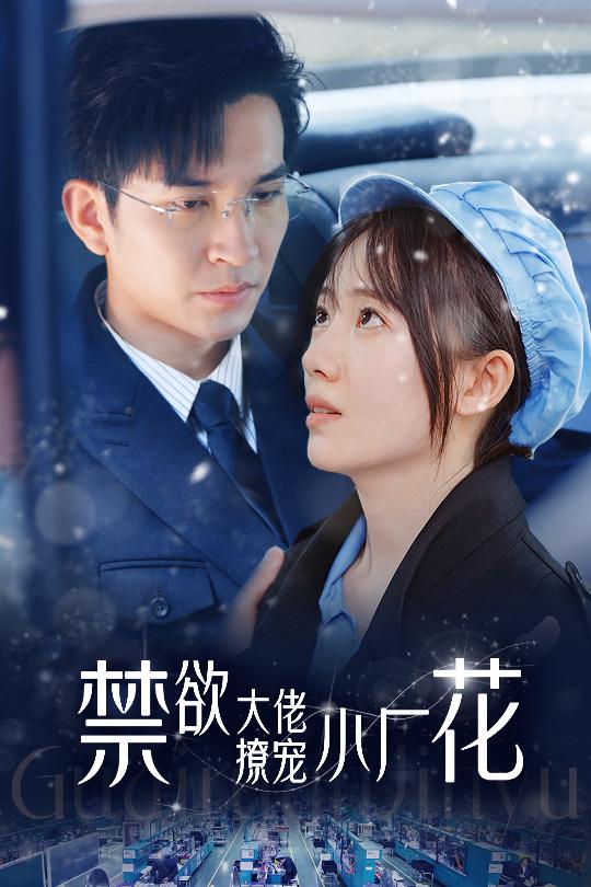 禁欲大佬撩宠小厂花 (2024) 海报